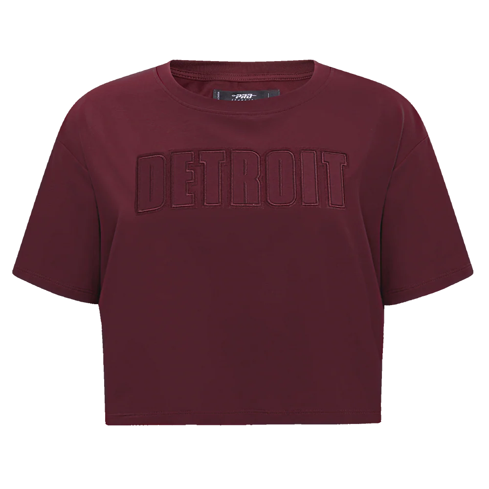 NFL DETROIT LIONS NEUTRAL SINGLE JERSEY BOXY TEE (WINE)