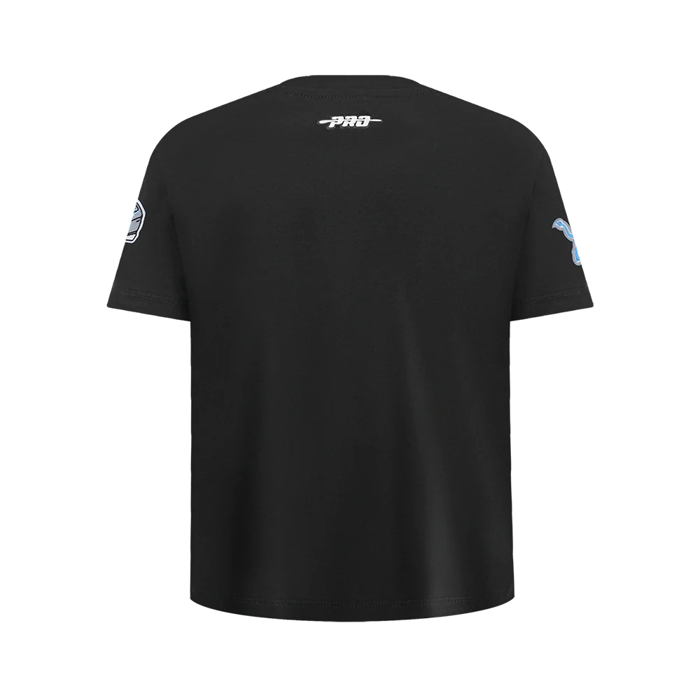 NFL DETROIT LIONS CLASSIC CHENILLE BIG BOY'S SS TEE (BLACK) - Image 3
