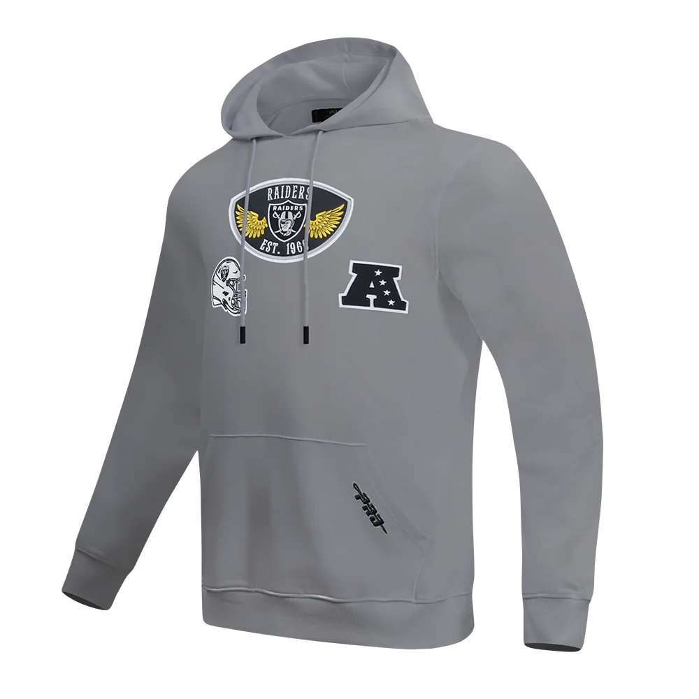 NFL LAS VEGAS RAIDERS BORN FOR SPORT MEN'S FLC PO HOODIE (Gray)