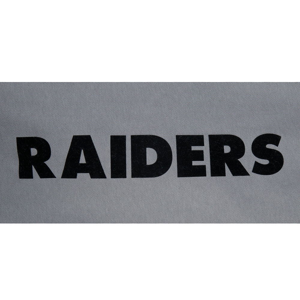 NFL LAS VEGAS RAIDERS BORN FOR SPORT MEN'S FLC PO HOODIE (Gray) - Image 3
