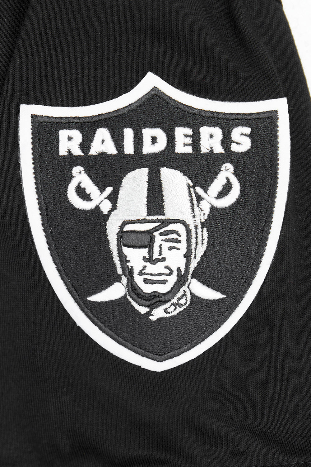 NFL LAS VEGAS RAIDERS CLASSIC BIG BOYS SHORT SLEEVE STRIPED RIB TEE (BLACK/GRAY) - Image 14