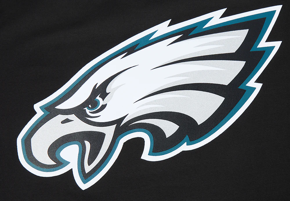 NFL PHILADELPHIA EAGLES CLASSIC MESH MEN'S SINGLE JERSEY STRIPED TEE (BLACK) - Image 7