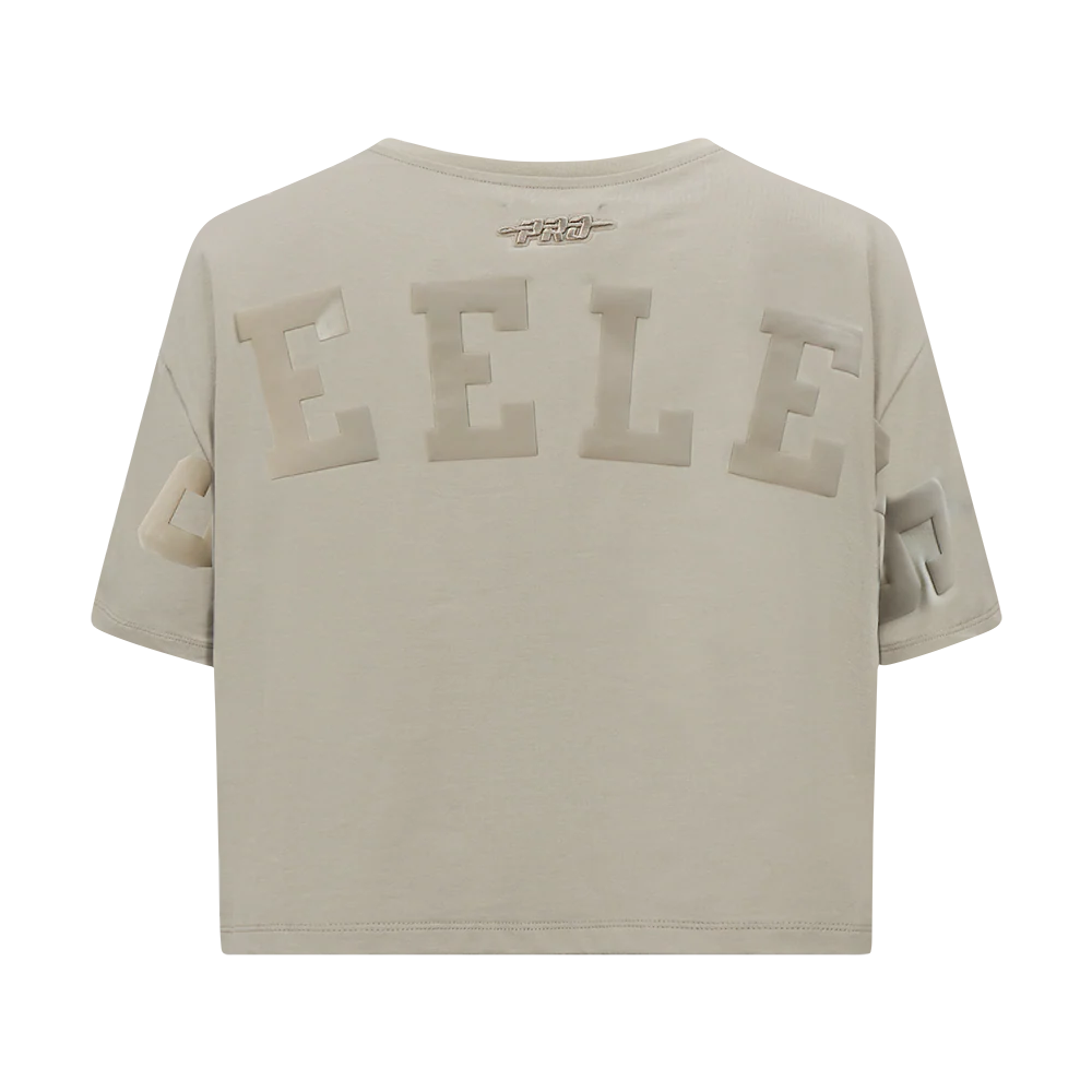 NFL PITTSBURGH STEELERS WINGSPAN WOMEN'S SJ BOXY TEE (TAUPE) - Image 5
