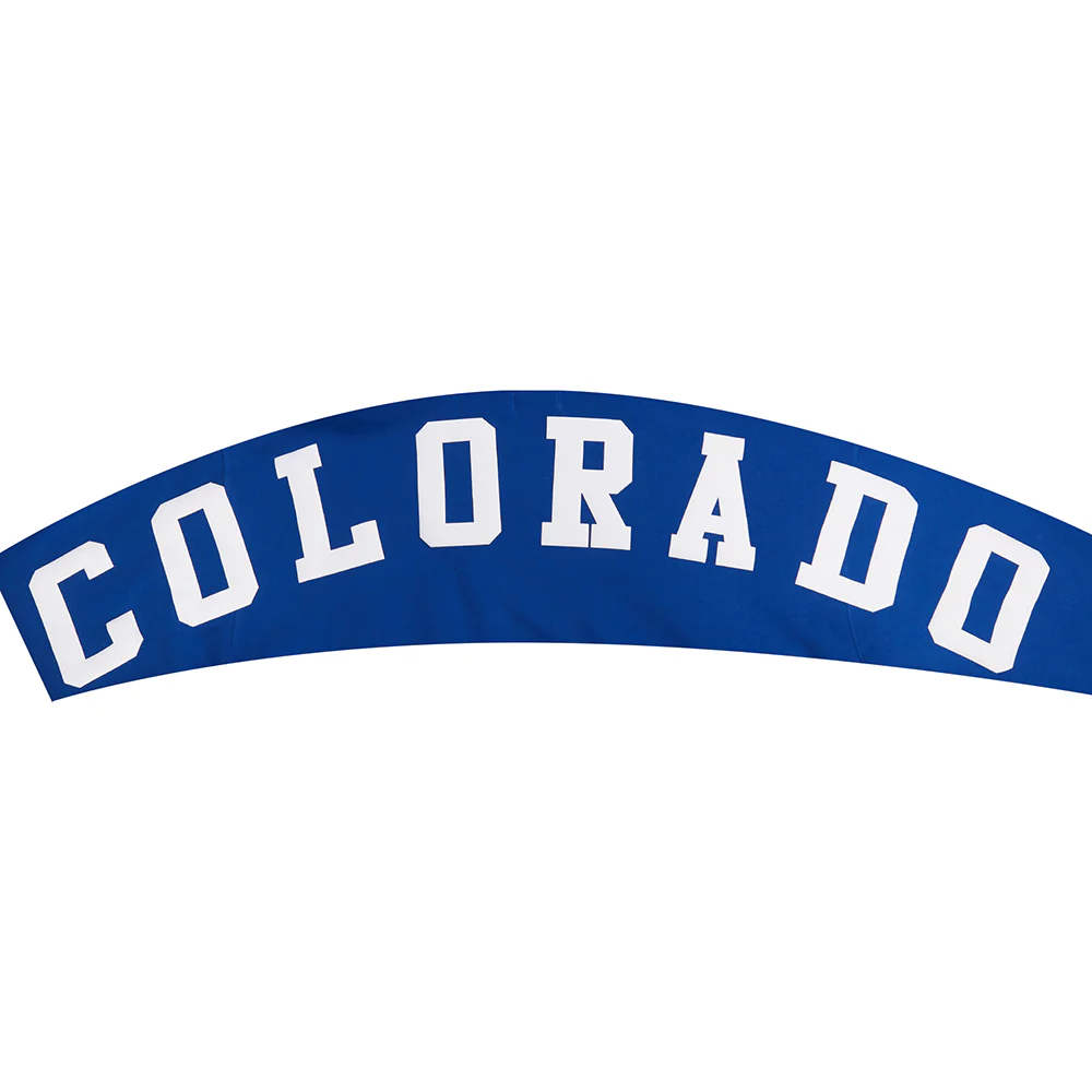NHL COLORADO AVALANCHE WINGSPAN MEN'S DROP SHOULDER FLC PO HOODIE (DODGER BLUE) - Image 7