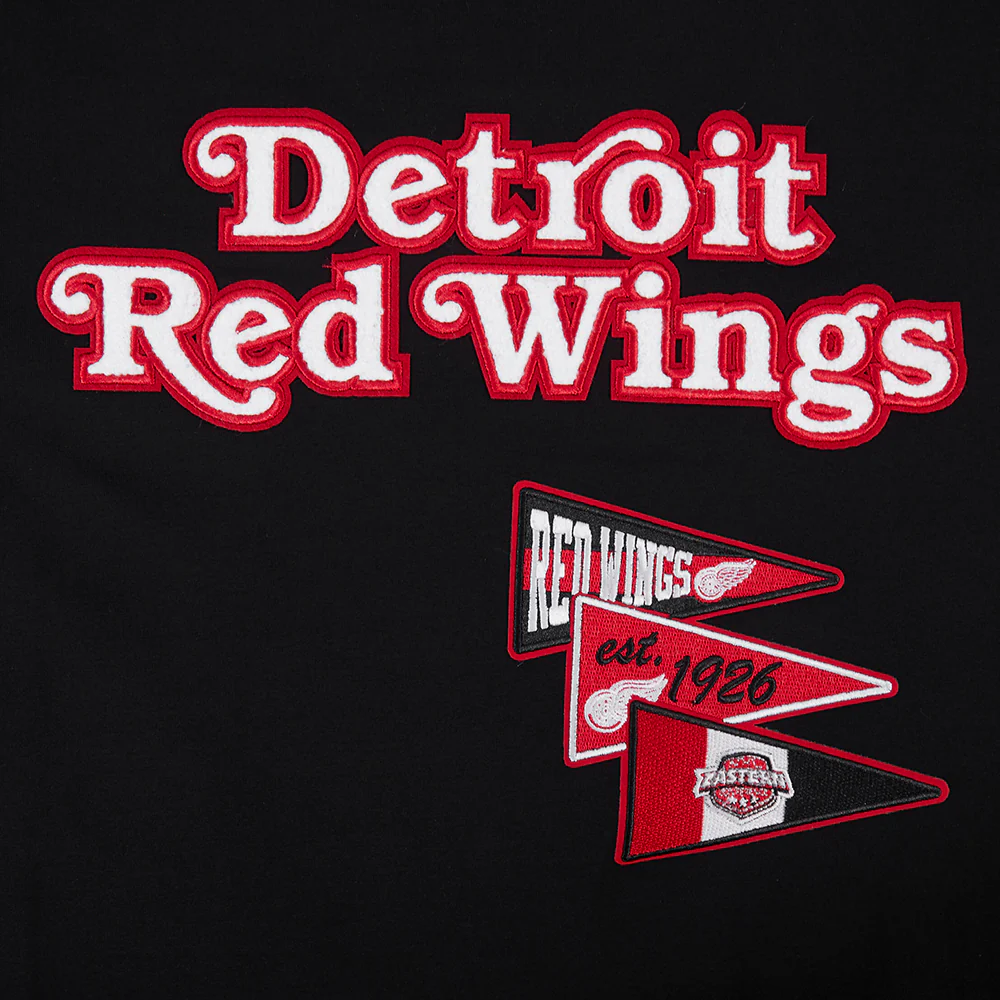 NHL DETROIT RED WINGS TEAM PENNATS MEN'S WORDMARK SJ TEE (BLACK) - Image 8