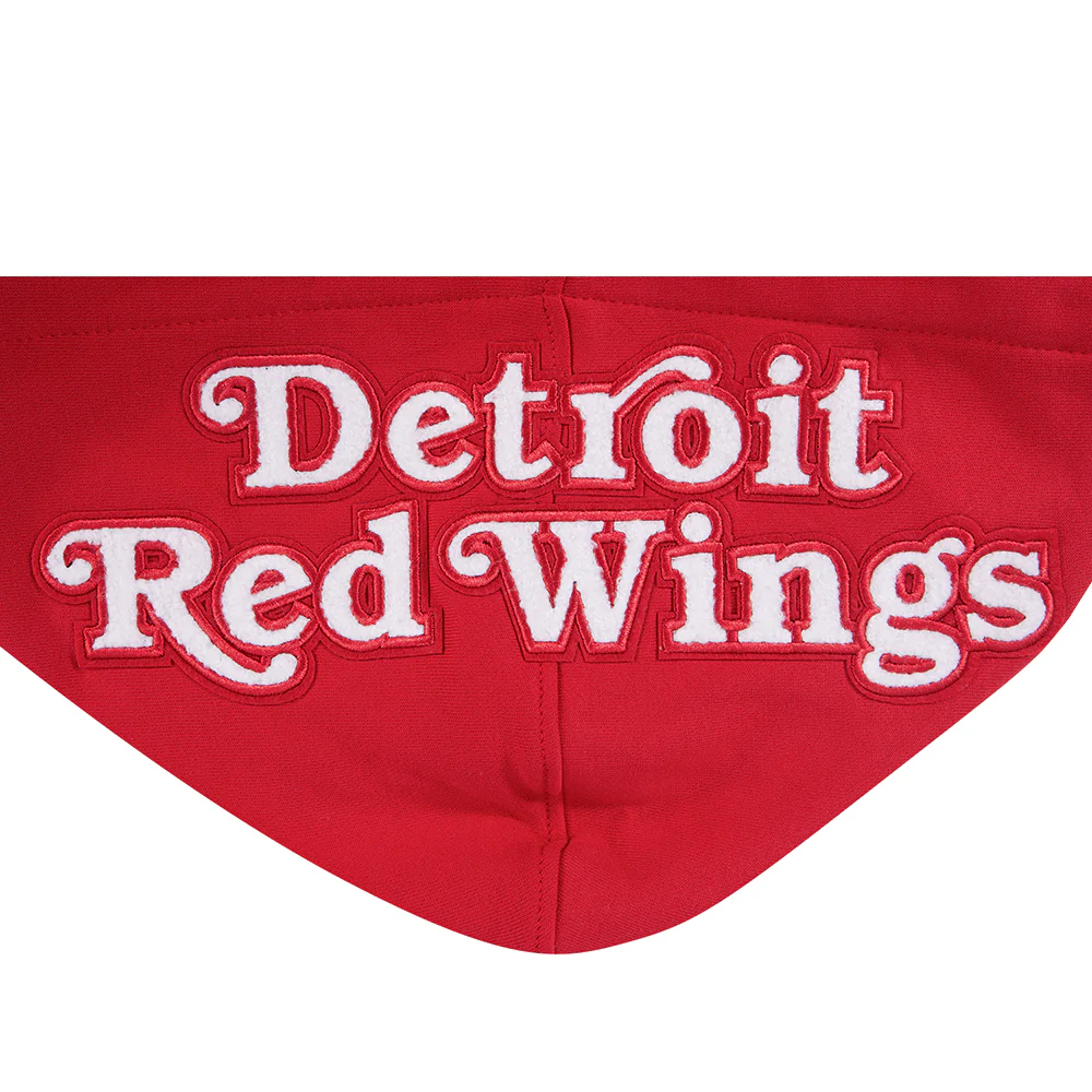 NHL DETROIT RED WINGS TEAM PENNATS MEN'S RIB FLC PO HOODIE (RED) - Image 5