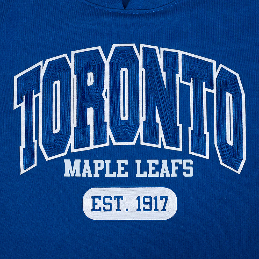 NHL TORONTO MAPLE LEAFS CITY ARCH MEN'S FLC PO HOODIE (DODGER BLUE) - Image 10