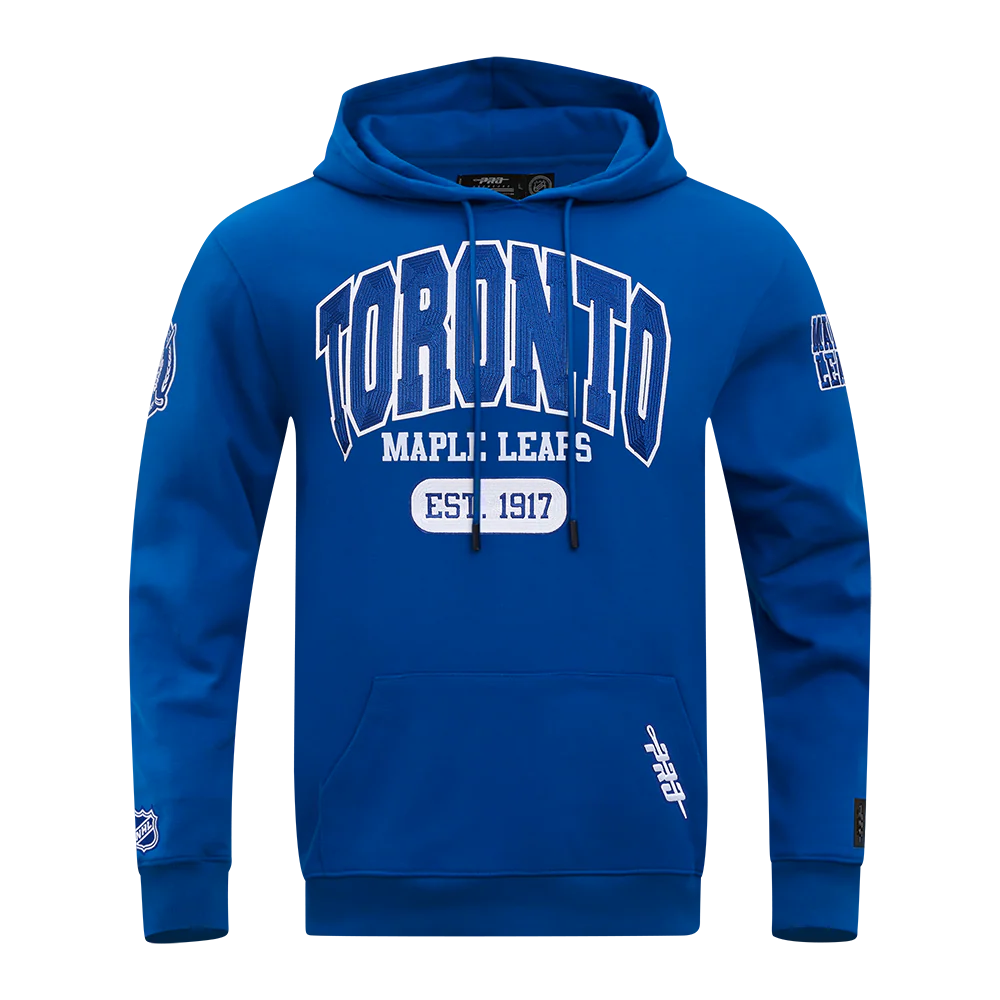 NHL TORONTO MAPLE LEAFS CITY ARCH MEN'S FLC PO HOODIE (DODGER BLUE) - Image 3