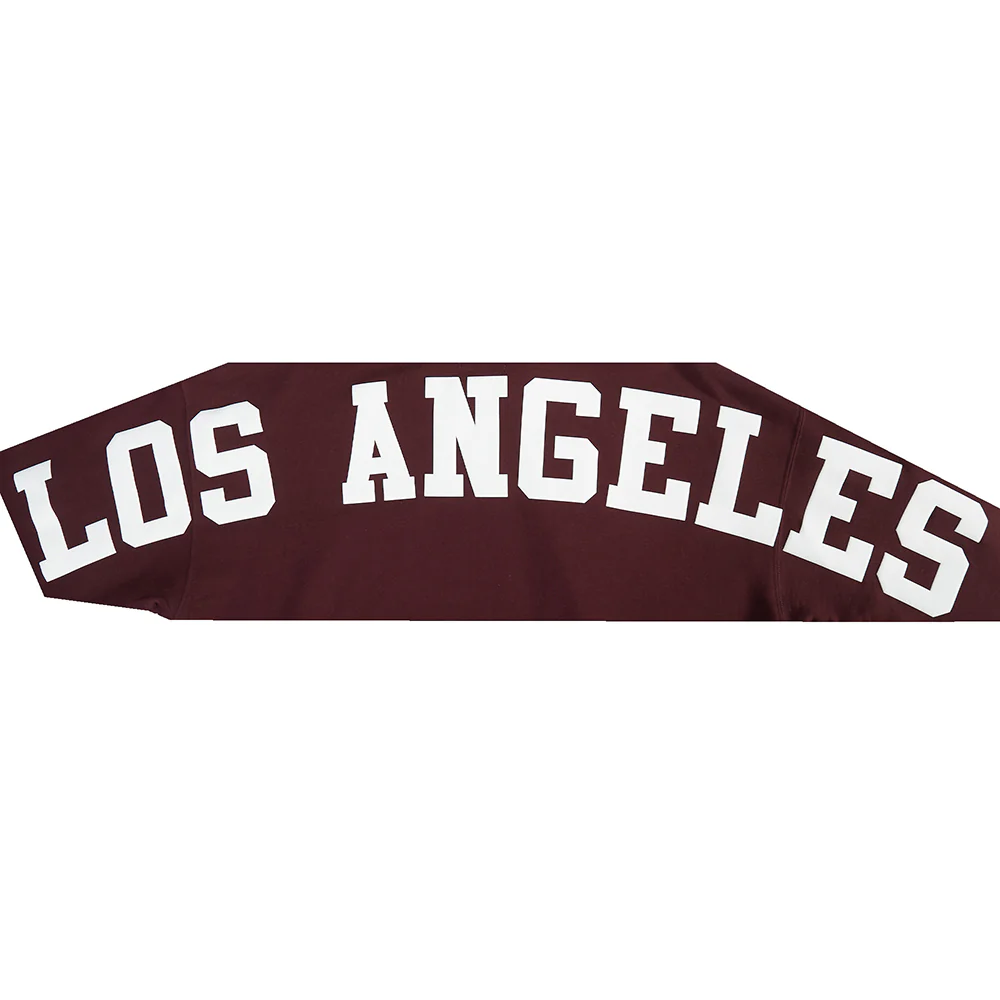 MLB LOS ANGELES DODGERS WINGSPAN MEN'S DROP SHOULDER FLC PO HOODIE V2 (WINE) - Image 9