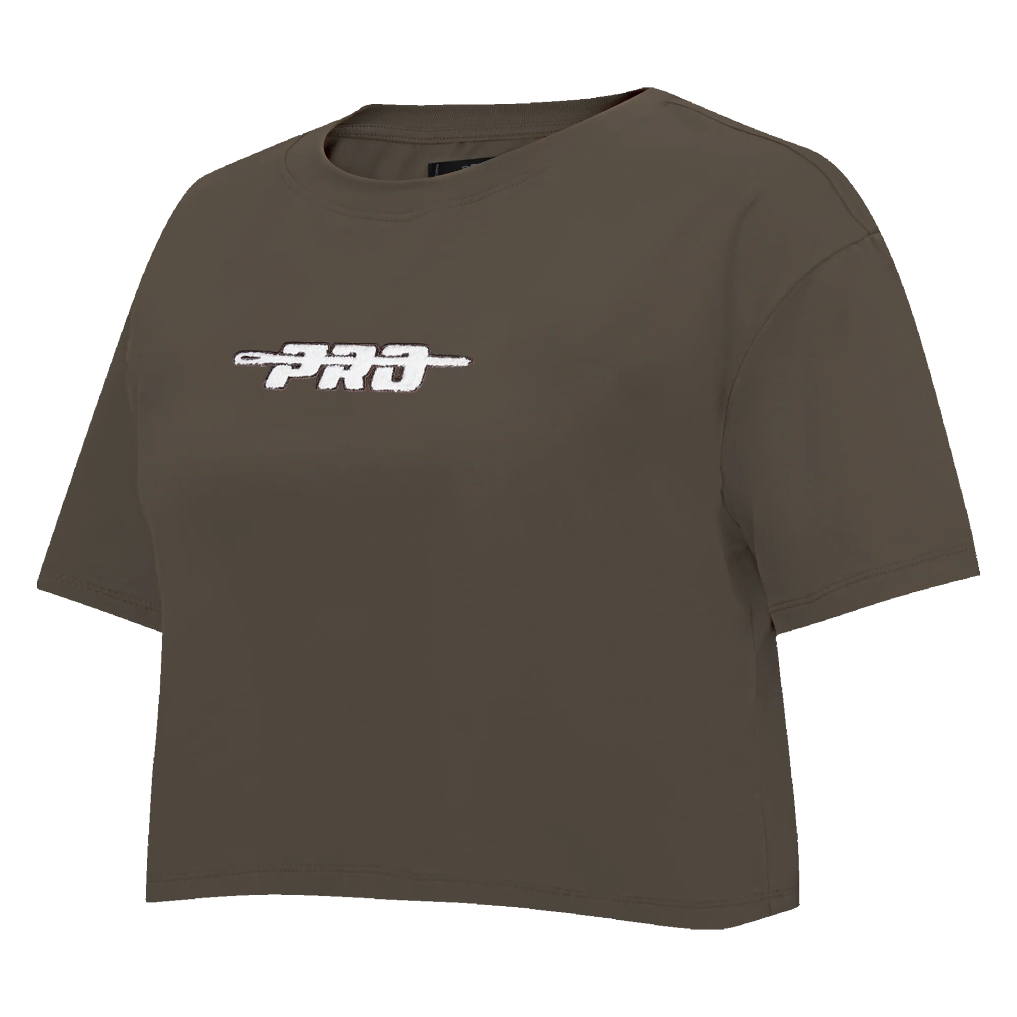 PRO STANDARD CLASSIC CHENILLE WHT LOGO WOMEN'S SJ BOXY TEE (DARK TAUPE) - Image 2