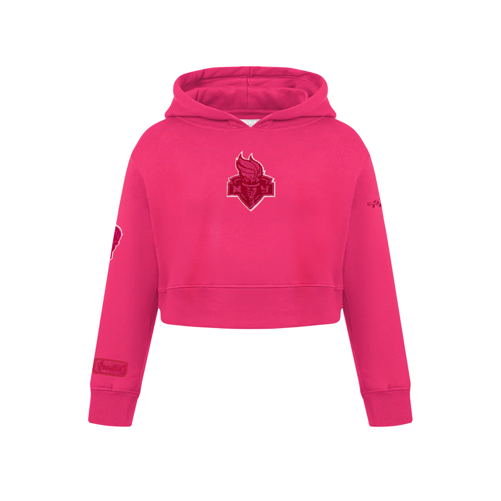 WNBA NEW YORK LIBERTY CLASSIC TRIPLE PINK BIG GIRLS FLC PO HOODIE (BEETROOT PURPLE)